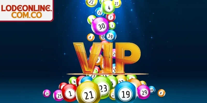 Sự khác biệt trong mô hình